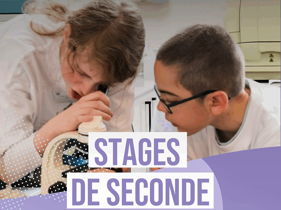 Des stages de Seconde sur CGenial Connect